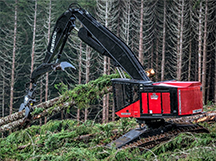 TL 775D Shovel Logger