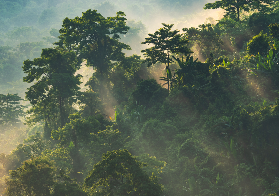 Sostenibilidad en construcción y minería: cómo Komatsu está cambiando el juego