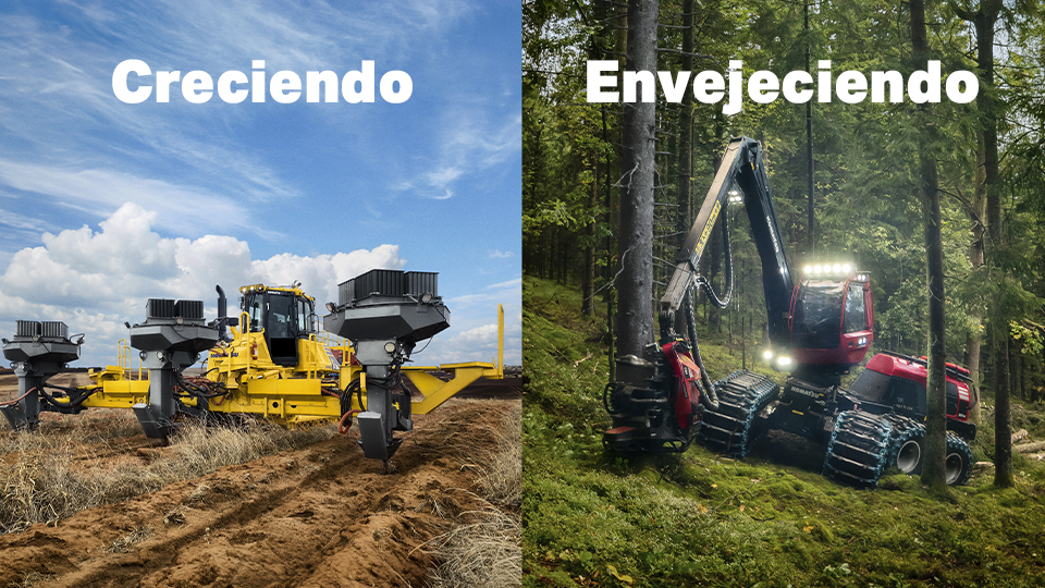 ¿Cómo se pueden plantar árboles de manera más eficiente para combatir el calentamiento global?